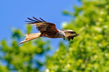 tagestour Lebensraum Natur Mecklenburg