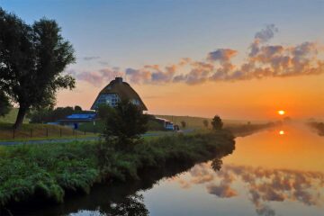 Fotokurs Gegenlicht