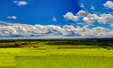 Vogesen-Blick
