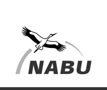 nabu