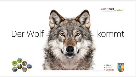 Der Wolf kommt