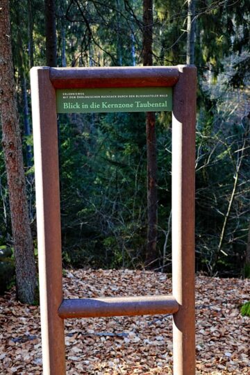 Wald
