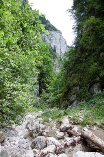 geführte Reisen Rumänien Siebenbürgen Nationalpark Königstein