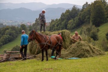 geführte Reisen Rumänien Siebenbürgen Rumäne Feldarbeit